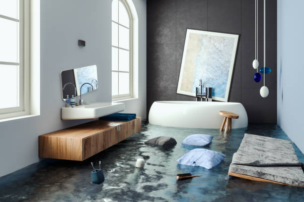 Best Ceiling water damage repair  in Texkana, AR