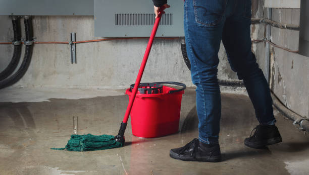 Water damage restoration mold remediation in AR