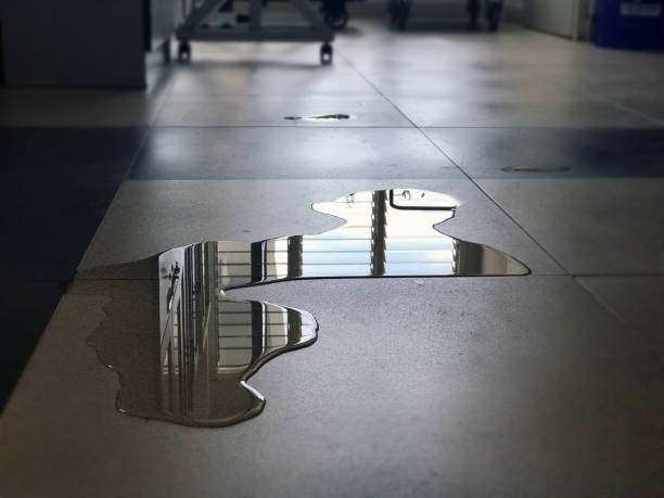 Local water damage restoration in AR