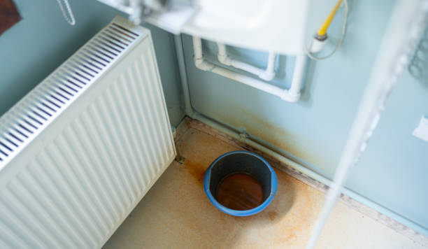 Best Professional water damage repair  in Texkana, AR