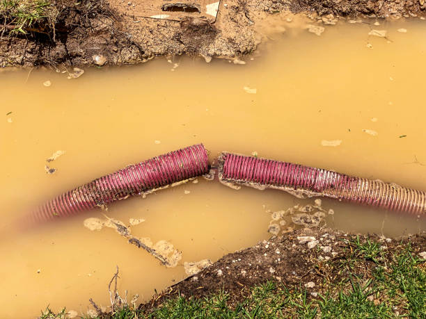  Texkana, AR Water damage restoration Pros