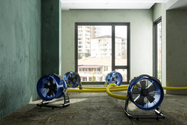 Best 24/7 water damage repair  in Texkana, AR